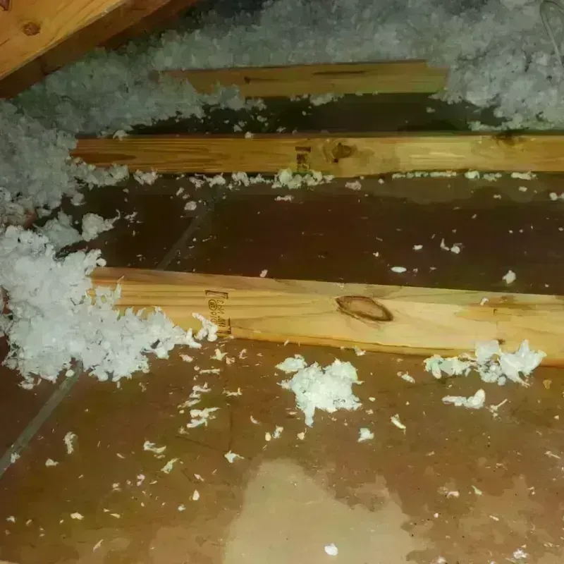 Attic Water Damage in Poth, TX